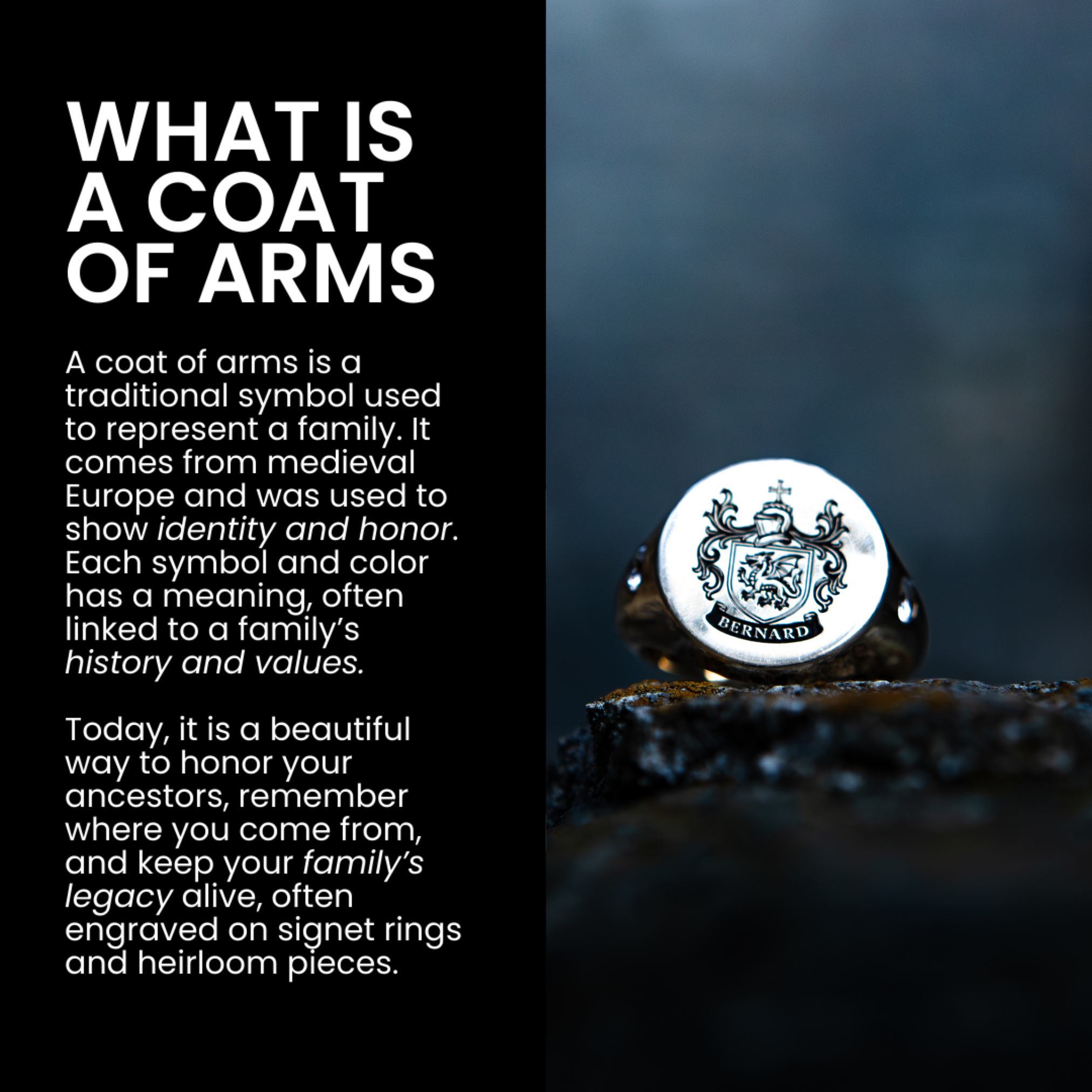 Anillo de sello personalizado de plata de ley con escudo de armas